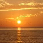 The Sun