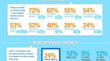 twitter demographics large