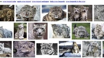 google image results