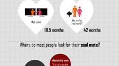 online dating statistics 2012 infographic