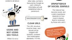 Top Search Engine Ranking Factors 2012 Infographic