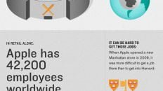 Apple Store Sales Statistics 2012 Infographic