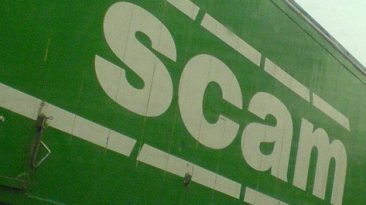 dailyinfographic.com publisher scam