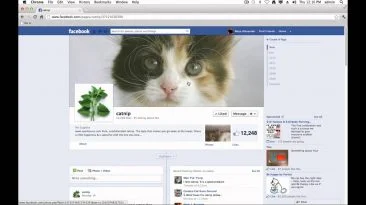 11 facebook timeline tips and tr