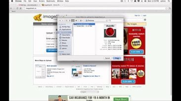 how to add an image url link in