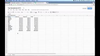 what is a google spreadsheet vid