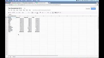 what is a google spreadsheet vid