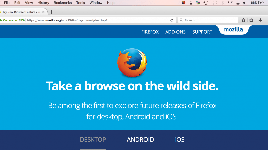 Nightly build of Firefox.