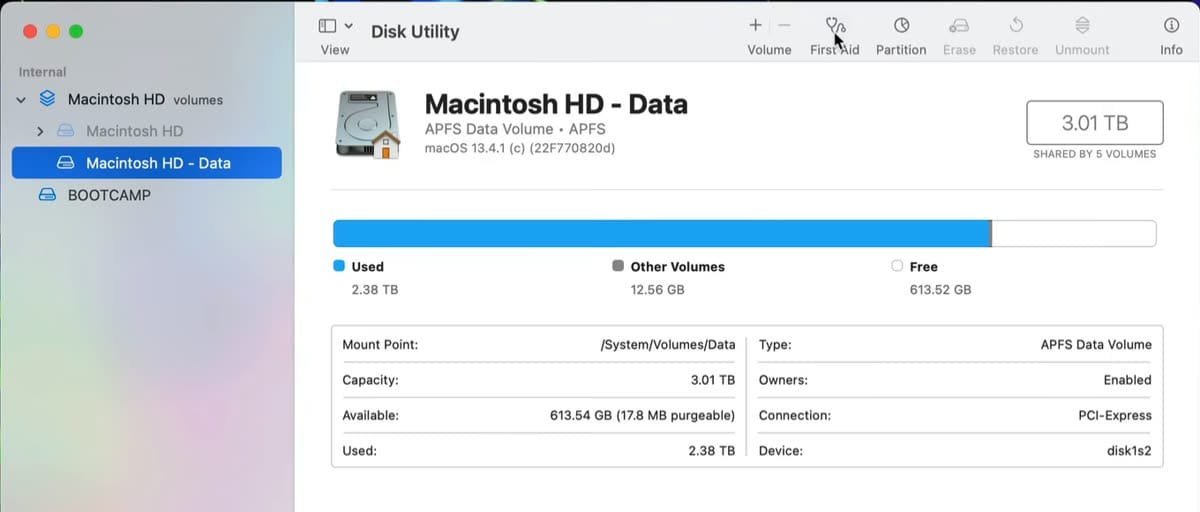 Disk Utility showing Macintosh HD - Data selected in the sidebar with the First Aid button available.