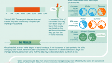 Smart Meter Health and Security Risks Infographic large