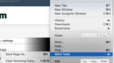 clear private data in google chrome