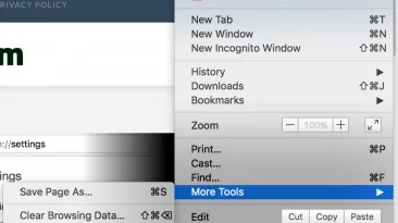 clear private data in google chrome