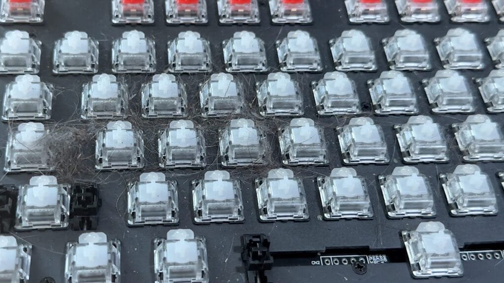Mechanical keyboard with keycaps removed showing dust and debris around switches