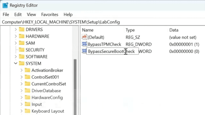 Windows 11 Setup registry editor showing the LabConfig key with BypassTPMCheck and BypassSecureBootCheck DWORD values set to 1